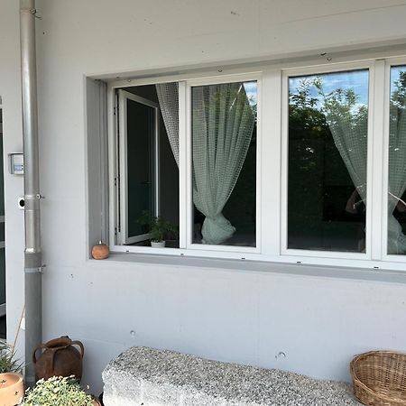 Studio In Neuem Efh Elsau Εξωτερικό φωτογραφία